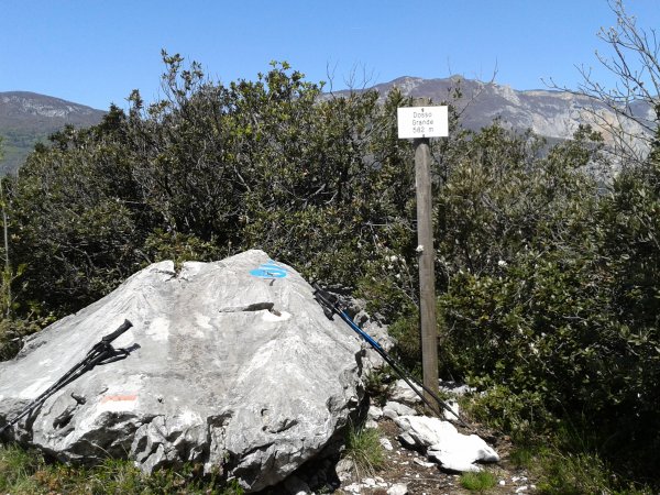 Cima