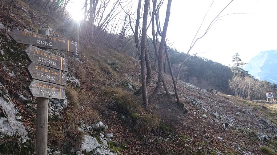 Indicazioni