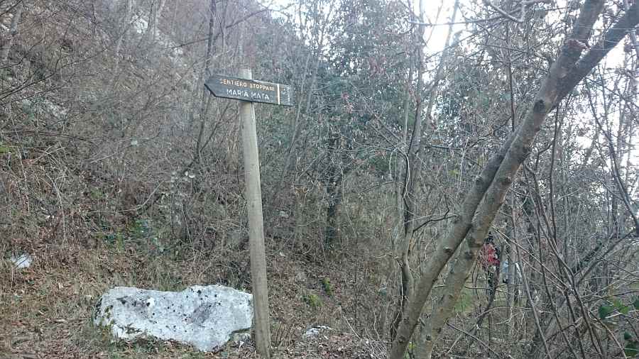 Indicazioni