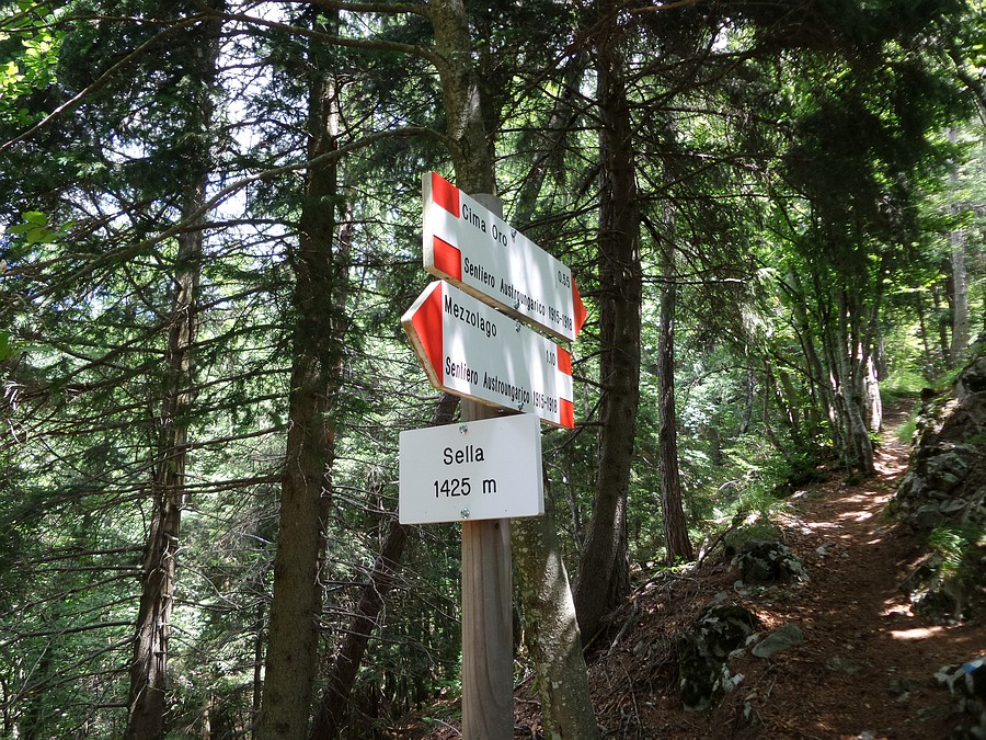 Indicazioni