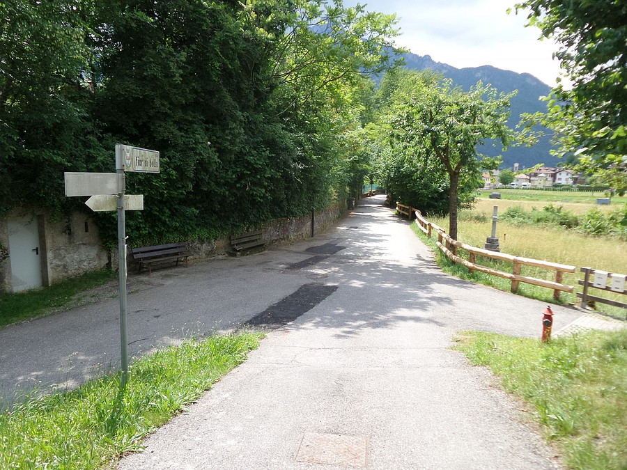Indicazioni