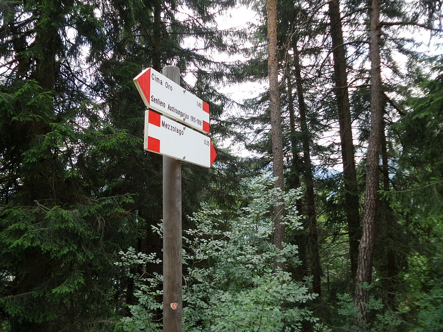 Indicazioni