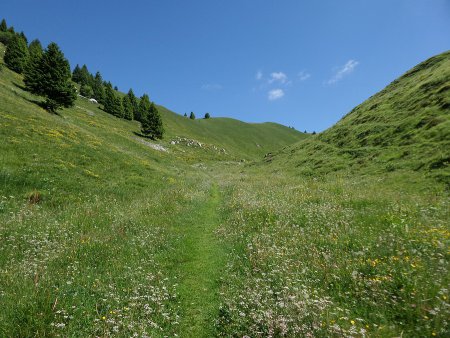 Verdi praterie
prima di Malga Savàl