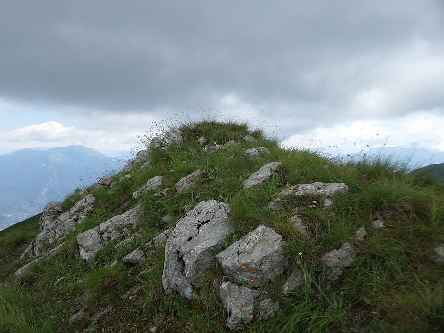 Cima
