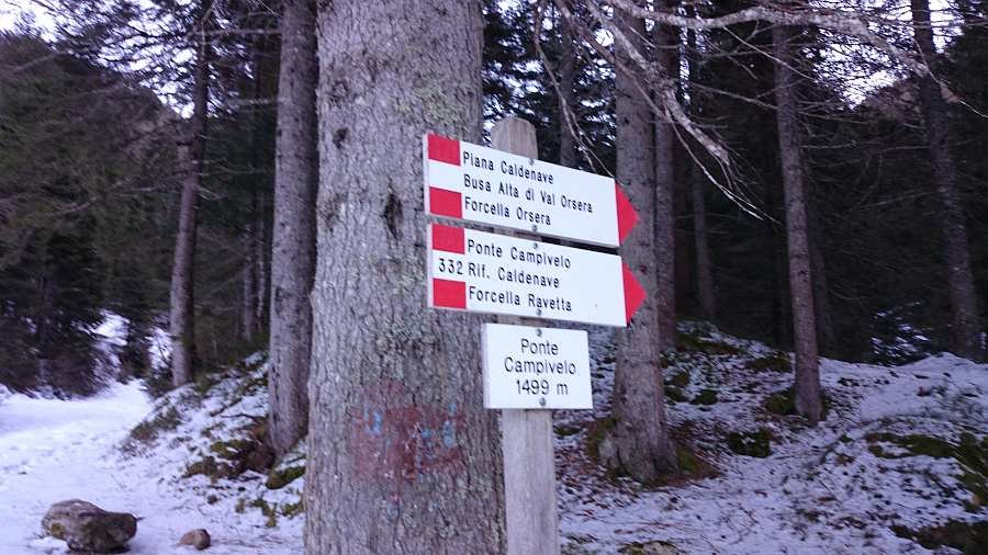 Ponte