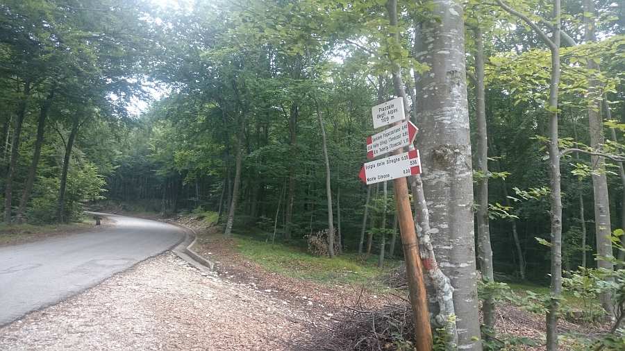 Indicazioni