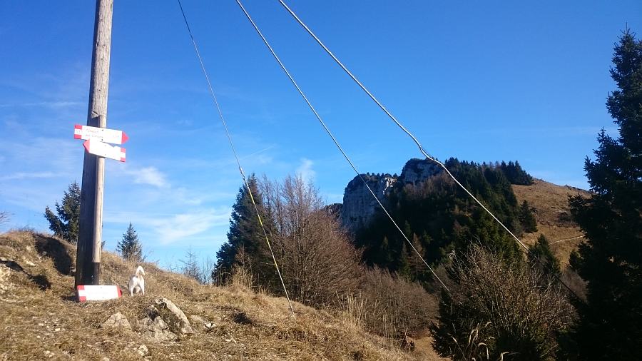 Indicazioni