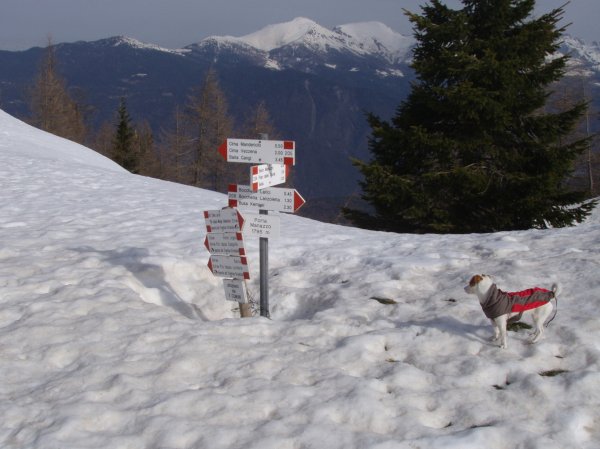 Passo