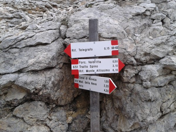 Indicazioni