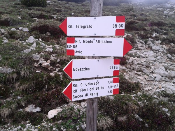 Indicazioni