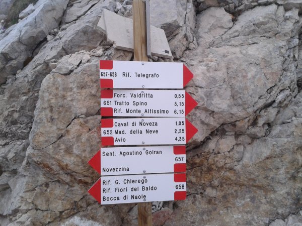 Indicazioni
