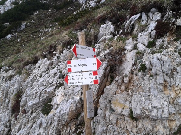Indicazioni
