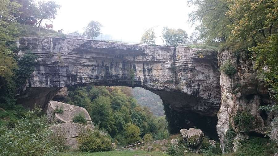 Grotta