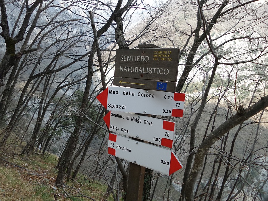 Indicazioni