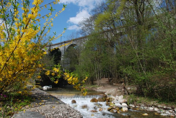 Pettenasco
Viadotto ferroviario