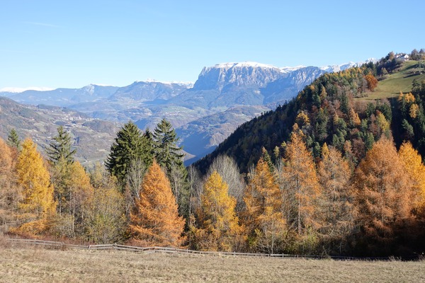 Vista sullo Schlern / Sciliar