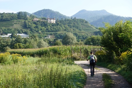 Bivio destra
Bivio destra