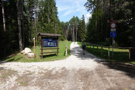 Località Laghestel
incrocio dritto Località Laghestel
incrocio dritto