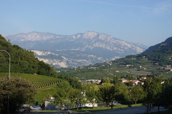 20210904_083740_s
20210904_083740_s