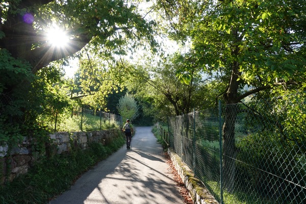 20210904_085155_s
20210904_085155_s