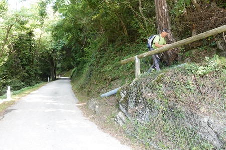 Svolta destra
Svolta destra