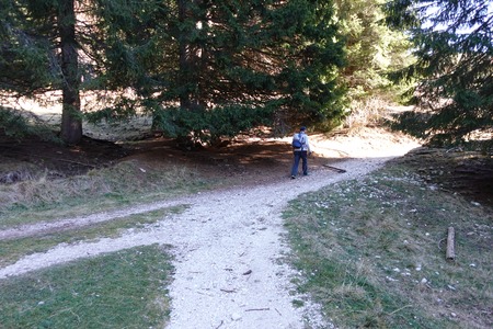Bivio destra
