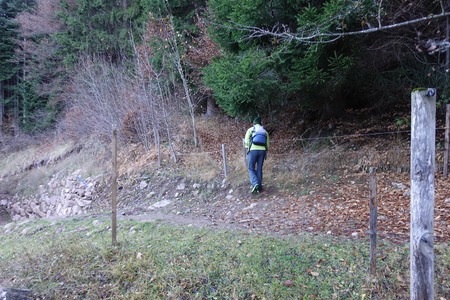 Incrocio dritto
