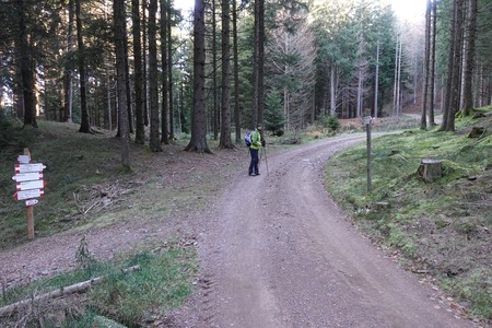 Bivio dritto
o sinistra per Rifugio Potzmauer