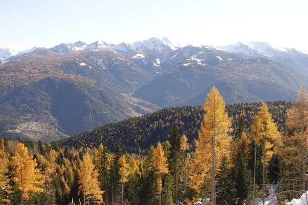 Panorama
da Monte Corno