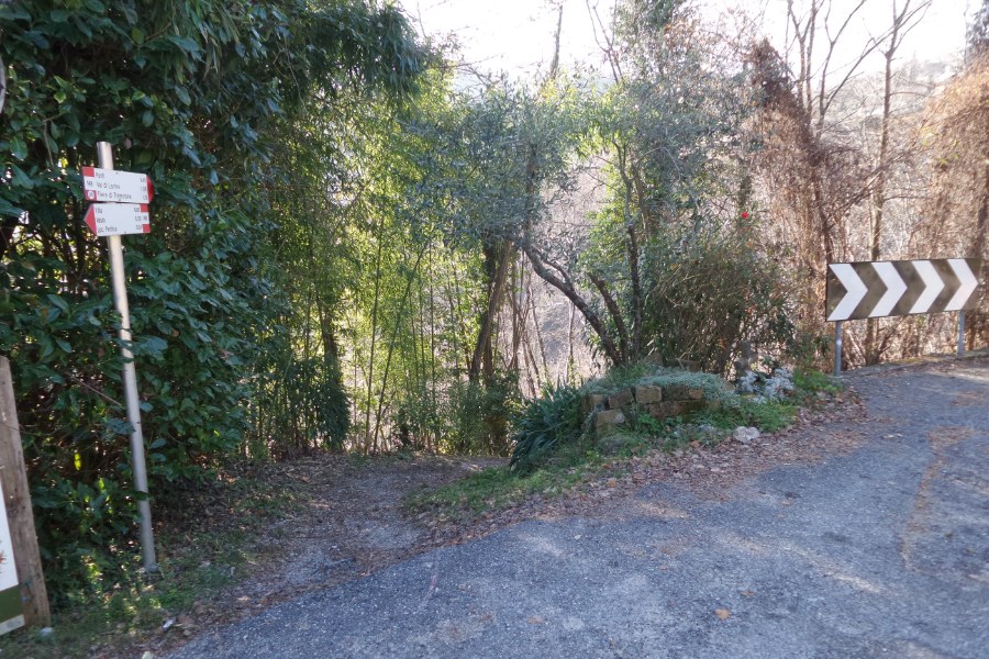 Indicazioni