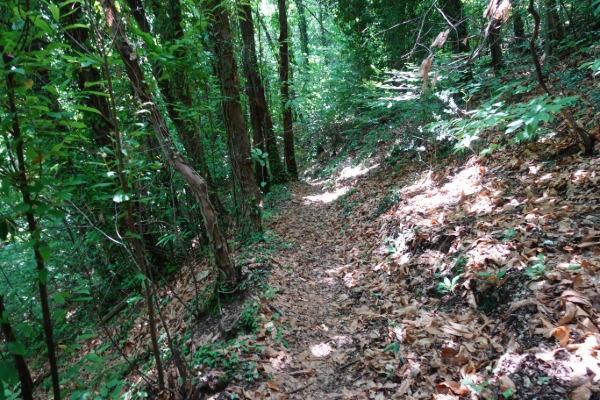 Sentiero
in Valle di San Martino