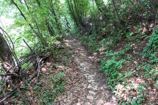 Sentiero
in Valle di San Martino