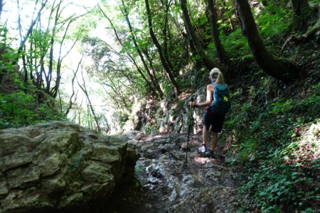 Sentiero per l'eremo
