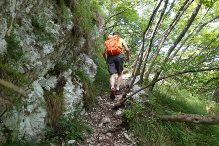 Sentiero
salendo al Monte Castello di Gaino