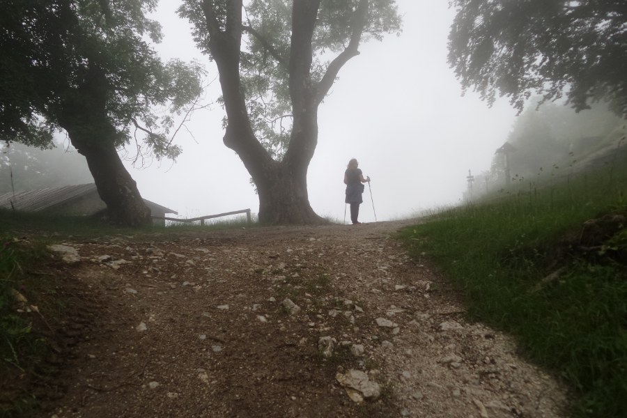 Passo