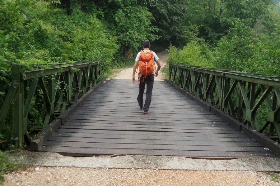 Ponte