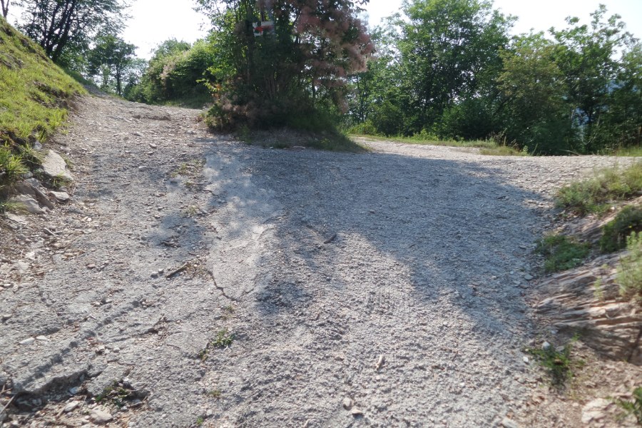 Indicazioni