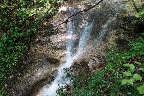 Torrente Barbarano
cascatelle