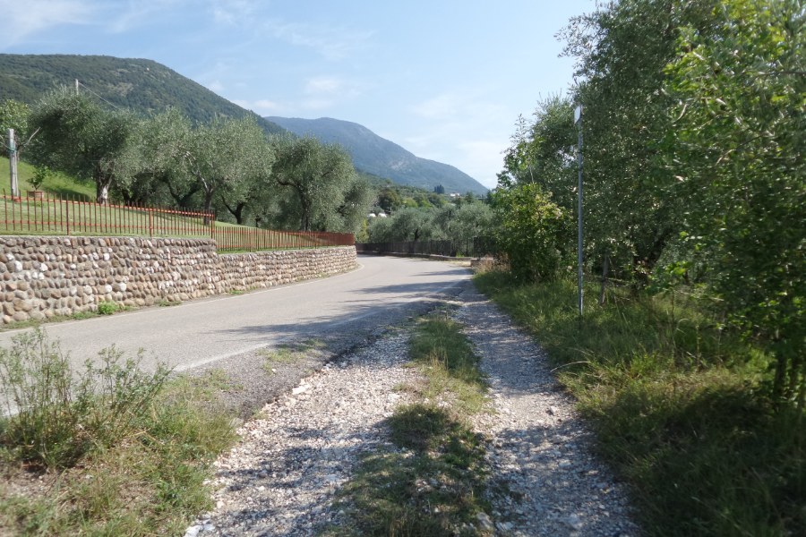Luogo