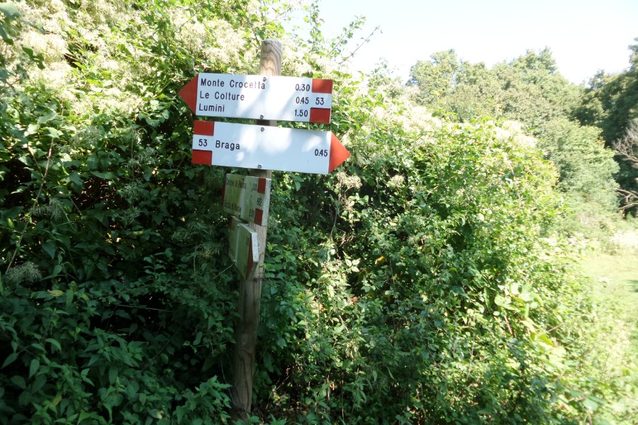Indicazioni