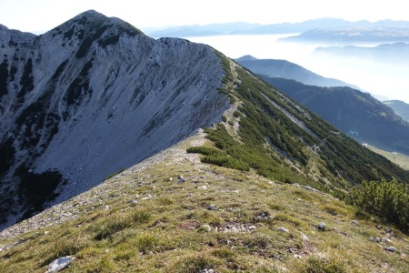 Cresta del Baldo
scendendo da Punta Telegrafo