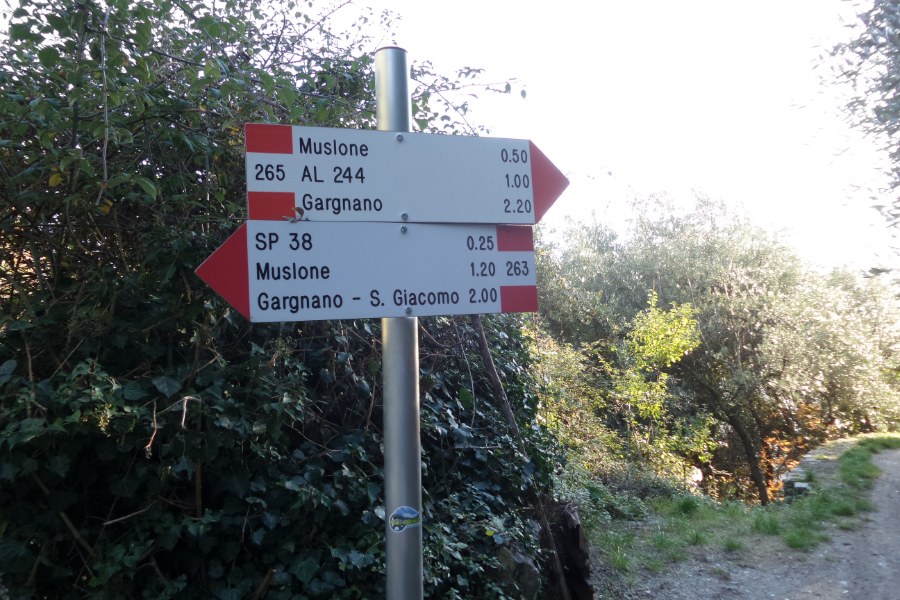 Indicazioni