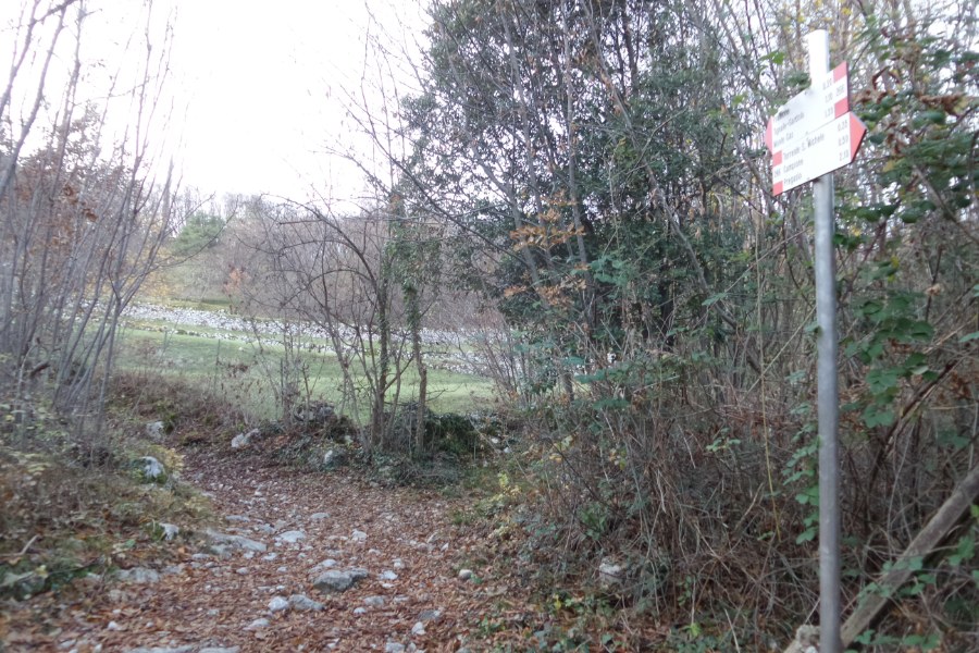 Indicazioni