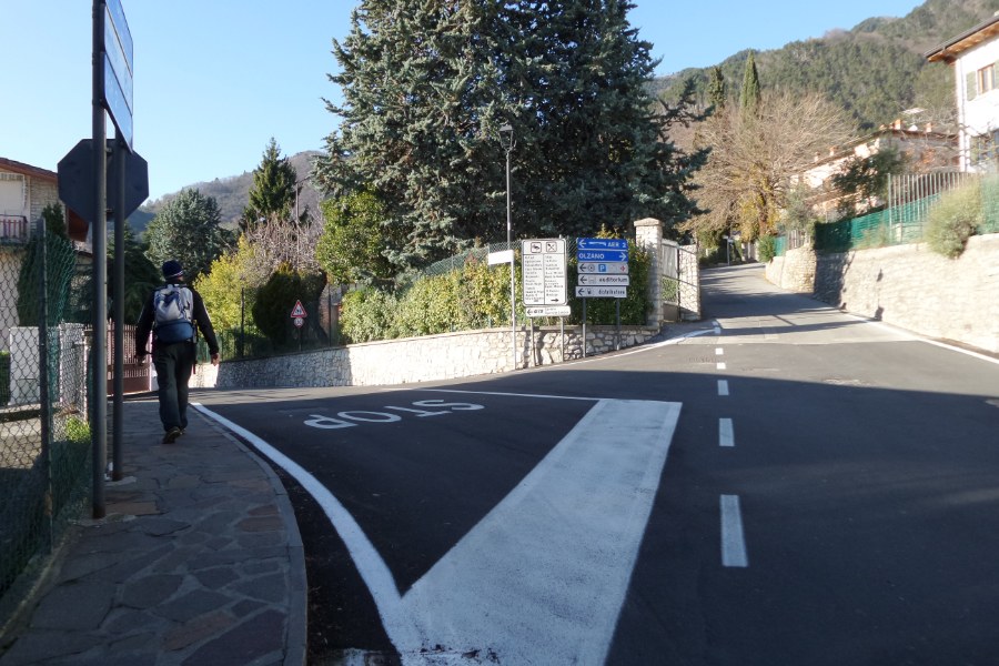 Bivio stradale