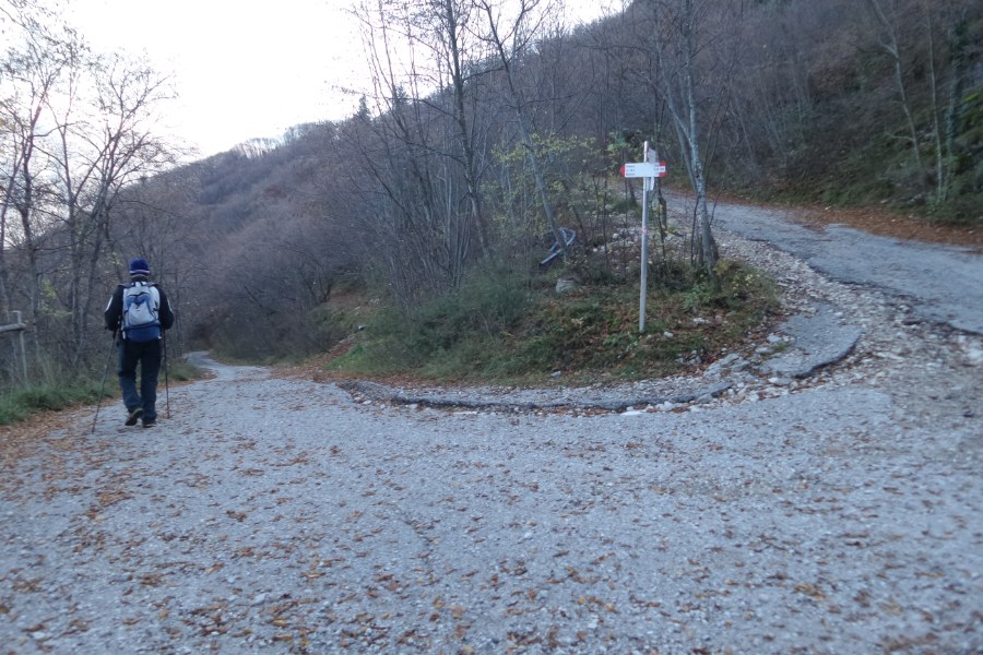 Indicazioni