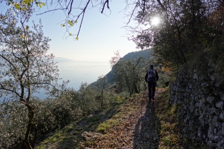 Lungo il sentiero 265
tra Piovere e Muslone