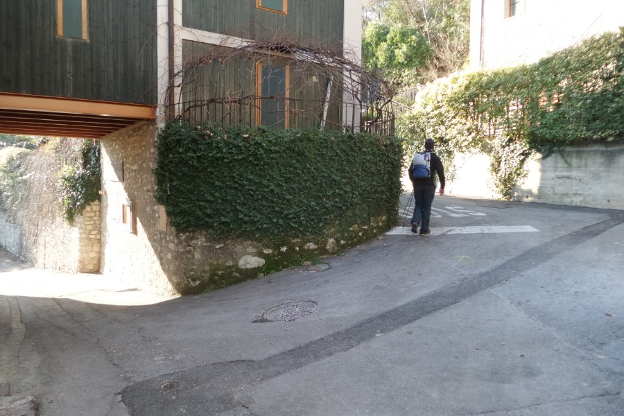 Bivio stradale