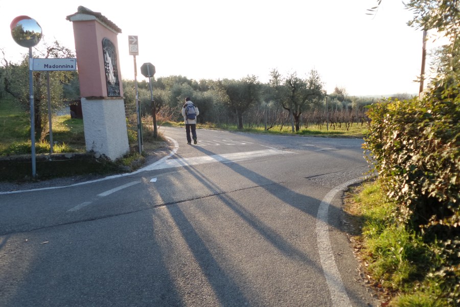 Bivio stradale