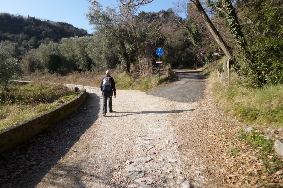 Indicazioni