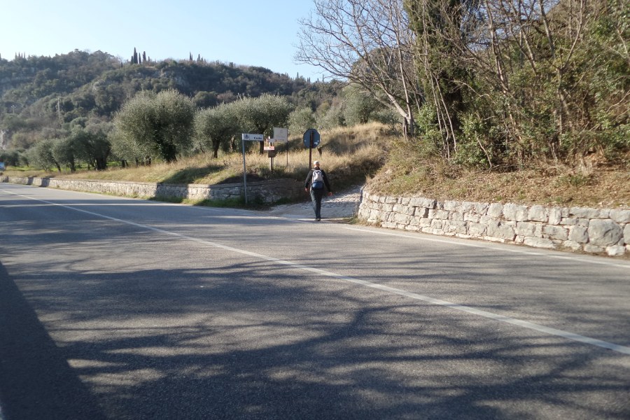 Indicazioni